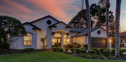 16316 Birkdale Drive, Odessa