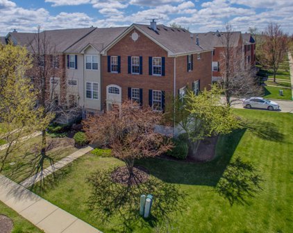 1627 Edinburgh Drive, Bartlett