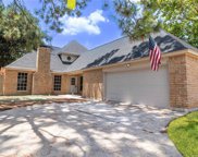 22807 Black willow dr, Tomball image