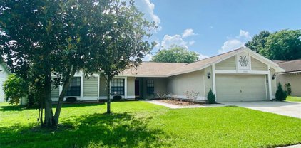 12309 Yellow Rose Circle, Riverview