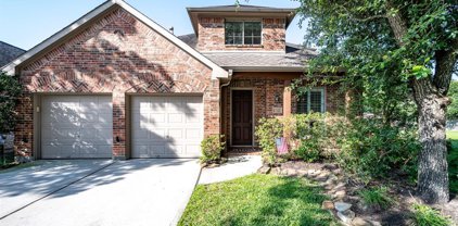 17123 Tallgrass Prairie Lane, Humble