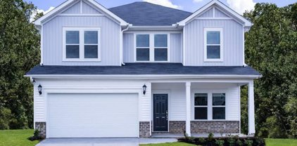 133 Layken Drive, Fountain Inn