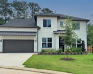 1705 Divino Pass, Conroe image