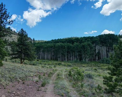 84.85 Acres, Saguache