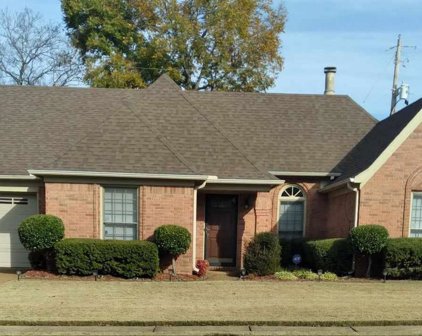 7534 Dexter Grove Drive Dr, Cordova
