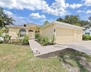 8708 Eagle Cove Court, Tampa image