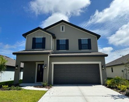 36104 Trinity Glade Road, Dade City