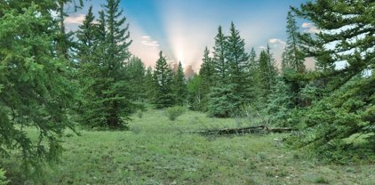 501 Molly S, Creede