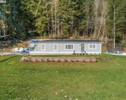 41107 NE 145TH AVE, Amboy image