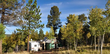 1299 Rangeview Road, Divide