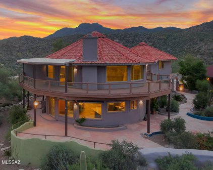 13931 N Gecko Canyon, Oro Valley