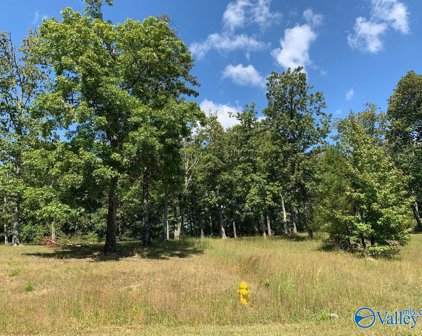 141 Ridgecreek Drive, Gurley