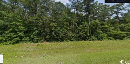 TBD Highway 701 South, Conway