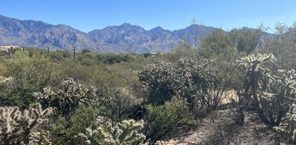 565 E Dusty View Unit #40, Oro Valley