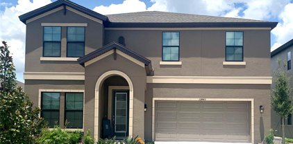 12443 Horseshoe Bend Drive, Lithia