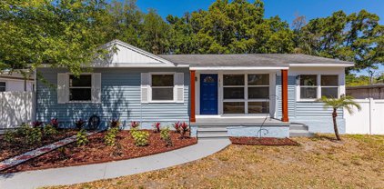 1707 W Perdiz Street, Tampa