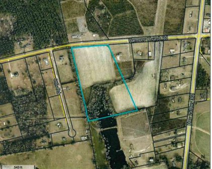15.8 ac Harmony Church Road, Glennville