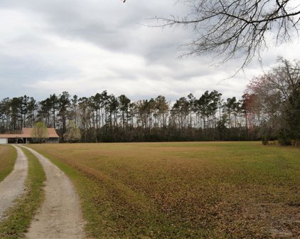 Cypress Campground Road, Ridgeville