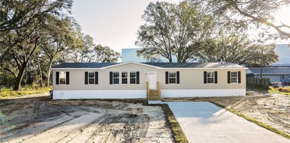 8915 Hammock Loop, Polk City