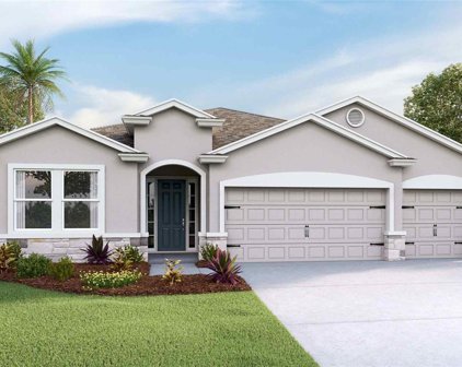 3510 Crooked River Drive, Plant City