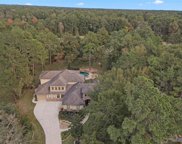 9411 Deer Path Lane, Magnolia image