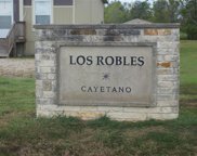 202 Encino Avenue, Alvin image