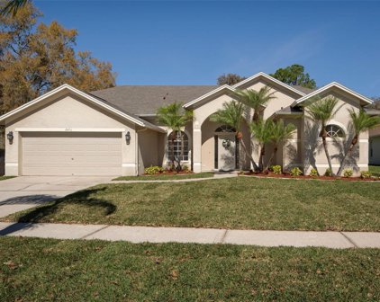 28711 Raleigh Place, Wesley Chapel