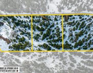 NKA Grand Fir, Athol image