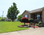 8990 Julia Meadow Lane, Independence image