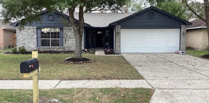 17047 Coachmaker Drive, Friendswood