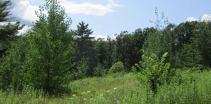 4 Hickory Hill  Road, Otego-364889