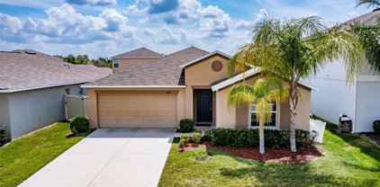 16809 Peaceful Valley Drive, Wimauma