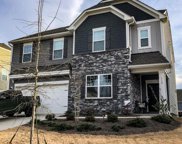 110 Rooster Tail  Lane, Troutman image