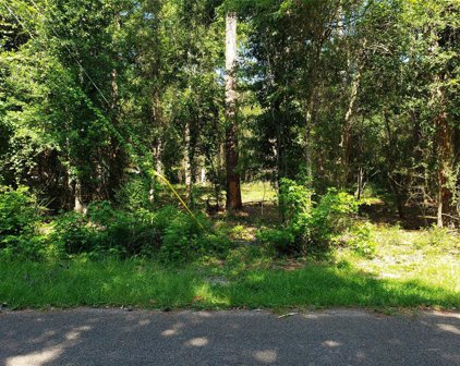 Lot 54 Dogwood Trail, Magnolia