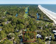 15 Surf Scoter, Hilton Head Island image