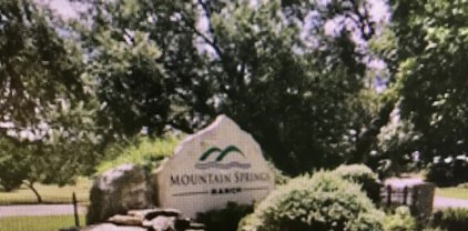 LOT 181 Mountain Springs, Canyon Lake