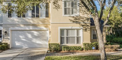 3425 Heards Ferry Drive, Tampa