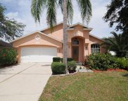 412 Sacramento Street, Valrico image