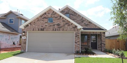 317 Flowering Orchid Lane, Willis
