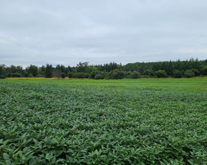 41.9 Acres Bornick Road, Fort Winnebago