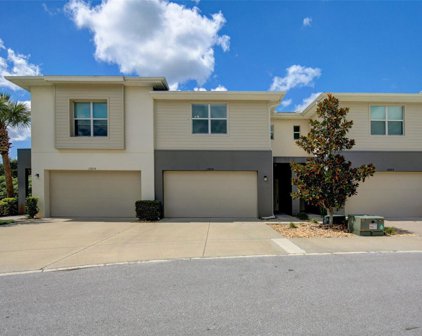 12820 Sanctuary Vista Trail Unit 10, Tampa