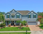 15326 Heron Hideaway Circle, Winter Garden image