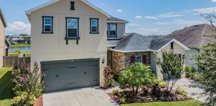32223 Firemoss Lane, Wesley Chapel