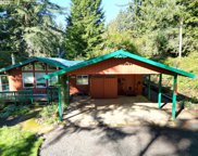 5553 Woahink DR, Florence image