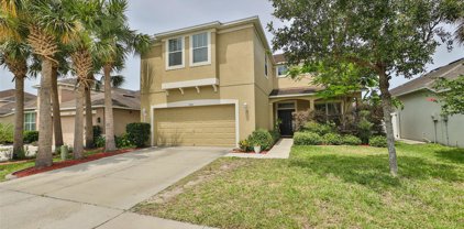7506 Forest Mere Drive, Riverview