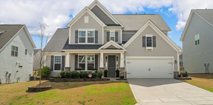 5275 Birch Arbor  Place, Indian Land