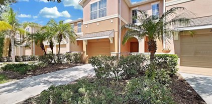 2955 Birchcreek Drive, Wesley Chapel