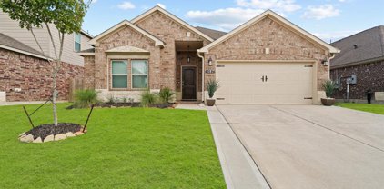 5187 Echo Falls Drive, Alvin