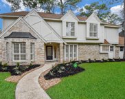 17911 Mahogany Forest Drive, Spring image