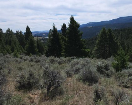 #19 Tract, 40 Acres +/-, Helmville
